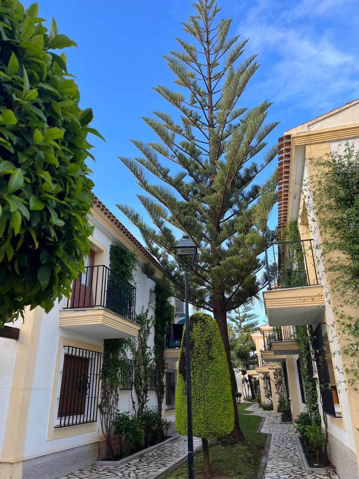 Apartamento Vera Coast 123 Playas de Vera Exteriör bild