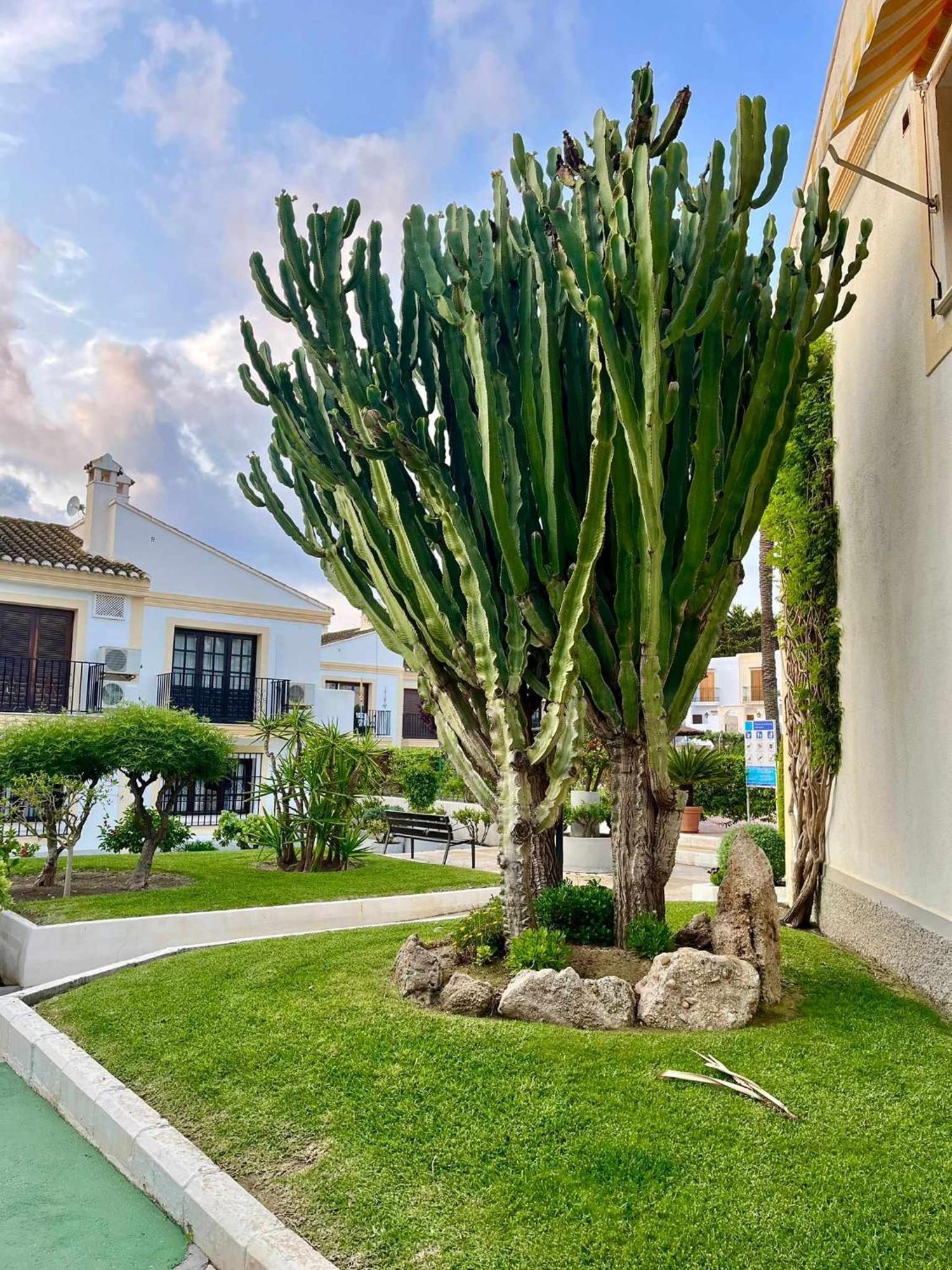 Apartamento Vera Coast 123 Playas de Vera Exteriör bild