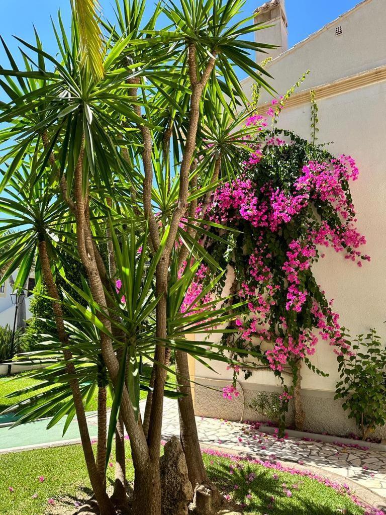 Apartamento Vera Coast 123 Playas de Vera Exteriör bild